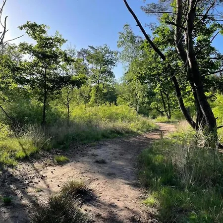 Spacious In * הונדרלו