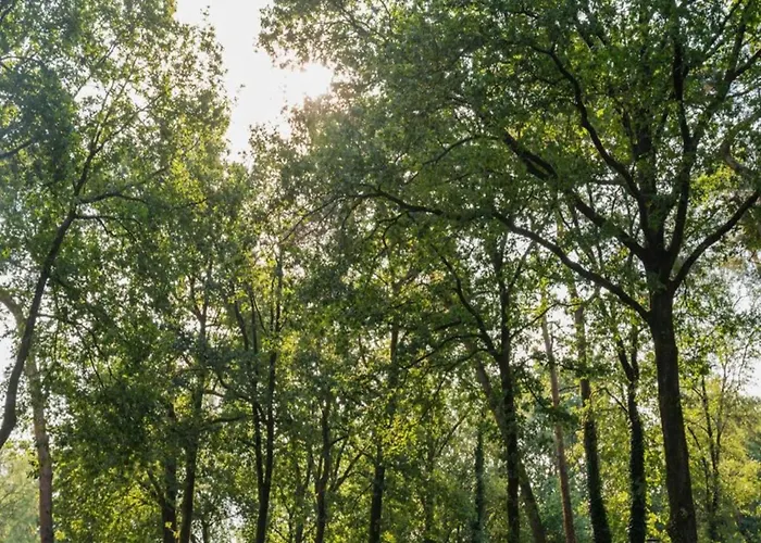 Spacious In בית נופש *