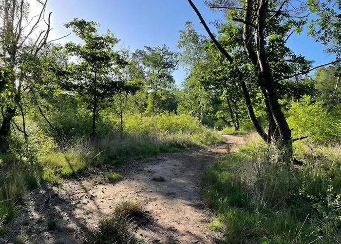 Spacious In * הונדרלו